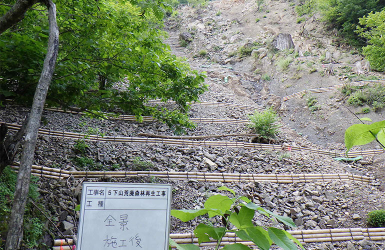 y20250402下山完成